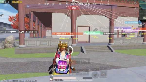 揭秘和平精英辅助工具的真相：你真的需要它吗