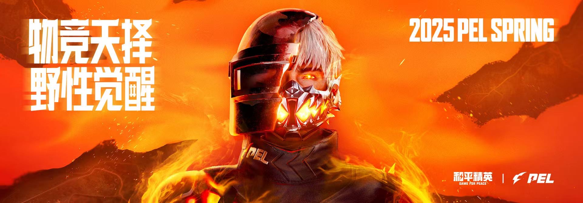 王者荣耀辅助【劳斯莱斯一体直装】英雄透视 人物透视 地图头像 射线方框 上帝视角 名字变色 漏人绘制 野怪显示 野怪计时 显示兵线 自身视野 头顶技能